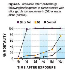HOW A BED BUG INFESTATION STARTS