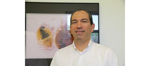 Alvaro Romero, Bed bugs 